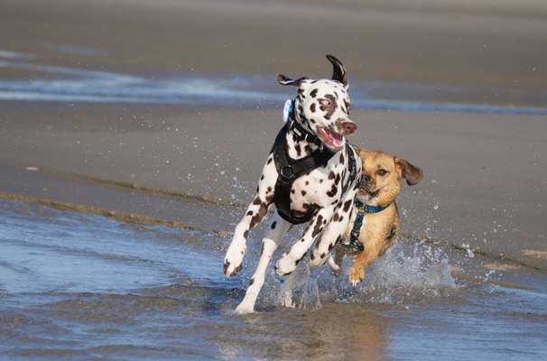 Fotochallenge Nr.100 Urlaubsimpressionen-Beitrag-Bild