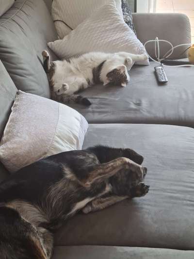 Die unbequemsten und lustigsten Schlafpositionen-Beitrag-Bild