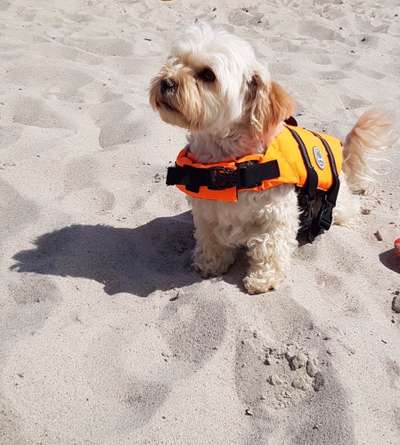 Lieblingsbild-Beitrag-Bild