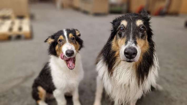 Foto Challenge Nr.133-Beitrag-Bild