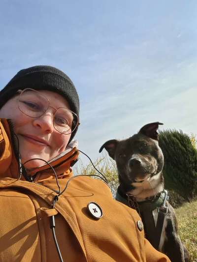 Dogorama Photo Challenge - Selfie Time!-Beitrag-Bild