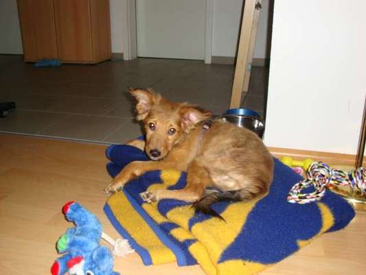 Erstes Bild-Beitrag-Bild