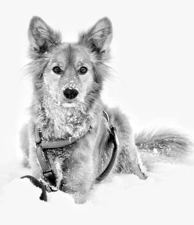 Foto-Challenge 76: Foto in Schwarz-Weiss-Beitrag-Bild