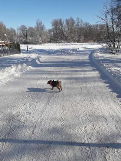 Pullis, Jacken, Hütte und alles sonstiges-Beitrag-Bild