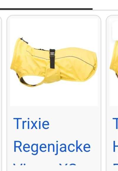 Rhodesian Ridgeback-Beitrag-Bild