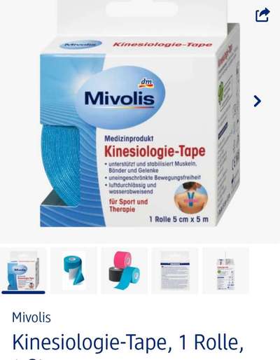 Rhodesian Ridgeback-Beitrag-Bild