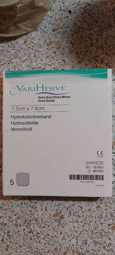 Rhodesian Ridgeback-Beitrag-Bild