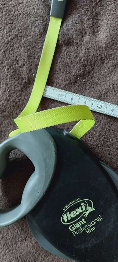 Rhodesian Ridgeback-Beitrag-Bild