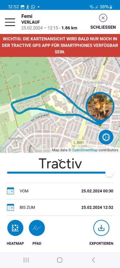 Rhodesian Ridgeback-Beitrag-Bild