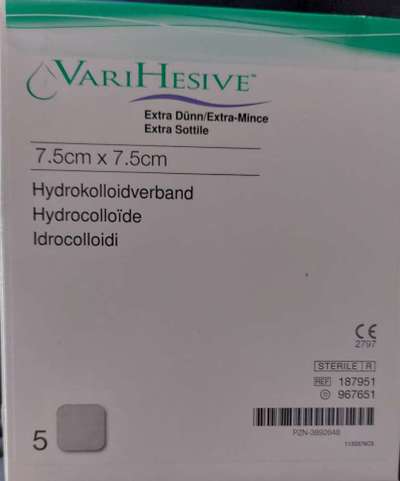 Rhodesian Ridgeback-Beitrag-Bild