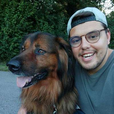 Hundetreffen-Buddy will gerne andere Hunde kennenlernen-Bild