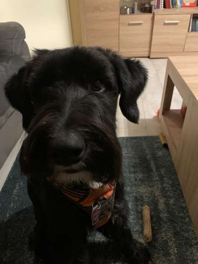 Fotochallange Nr. 57     PORTRÄT.   Beendet!!!!!!!!-Beitrag-Bild