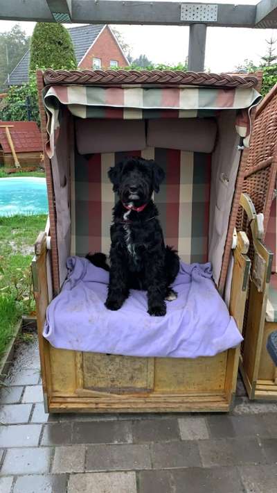 Fotochallange Nr. 57     PORTRÄT.   Beendet!!!!!!!!-Beitrag-Bild