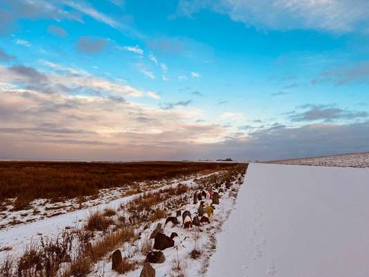 Ton in Ton-Beitrag-Bild