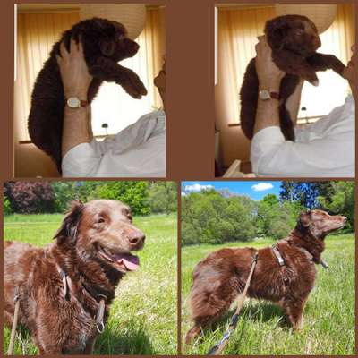 Sie werden so schnell erwachsen ...-Beitrag-Bild