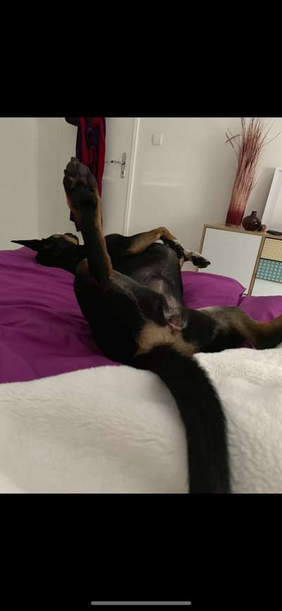 Schlafzeit!💖-Beitrag-Bild