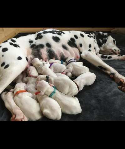 Fotochallenge 69-Beitrag-Bild