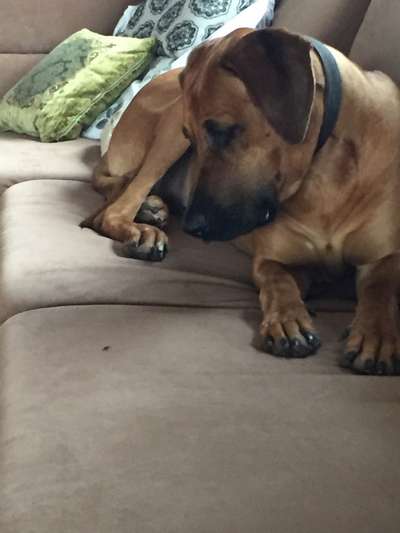 LUSTIGE FOTOS! WER KANN MITHALTEN?-Beitrag-Bild