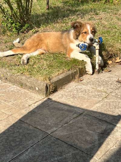 FOTO-Challenge  NR. 91: Die pure Entspannung-Beitrag-Bild