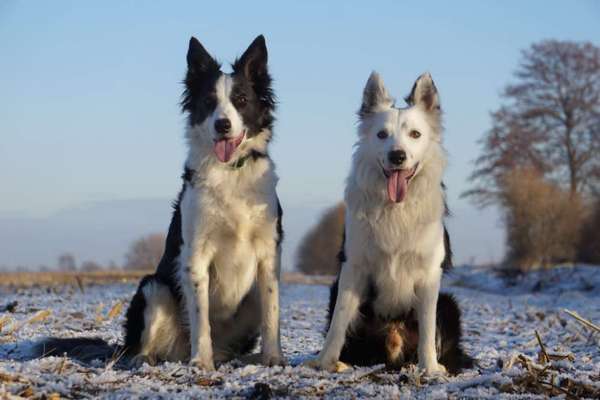 Foto Challenge Nr.: 115-Beitrag-Bild