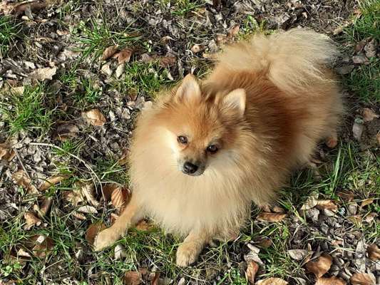 Fotowettbewerb Natur-Beitrag-Bild