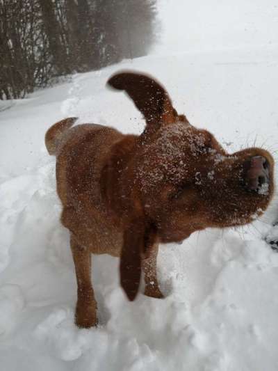 Dogorama Photo Challenge - Es wird nochmal kalt!-Beitrag-Bild