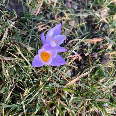 Was hat euch heute gefreut?-Beitrag-Bild