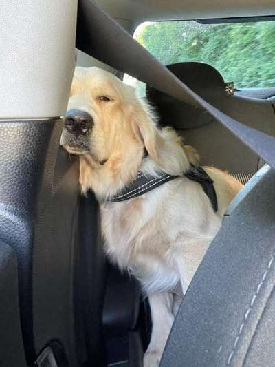 117. Fotochallenge-Beitrag-Bild