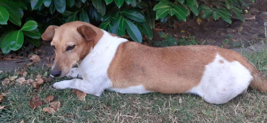 Lieblingsbild-Beitrag-Bild