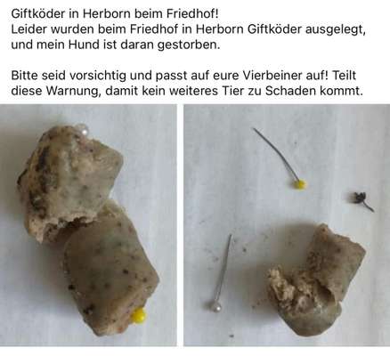 Giftköder-Giftköder am Friedhof Herborn-Bild