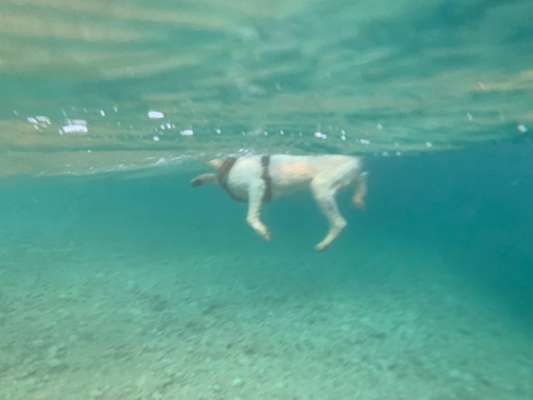 FOTOCHALLANGE NR.71 BADEFREUDE-Beitrag-Bild