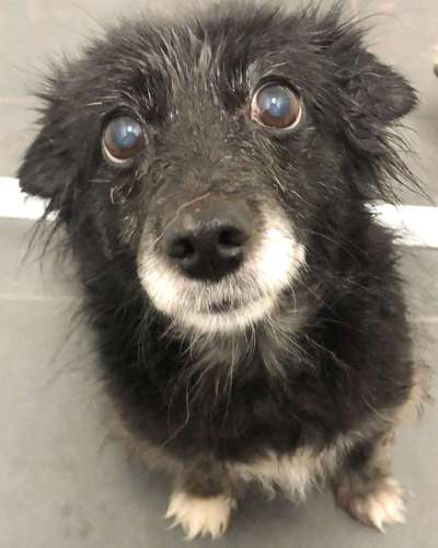 Foto Challenge Nr.133-Beitrag-Bild