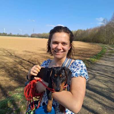 Hundetreffen-Gemeinsam spazieren gehen