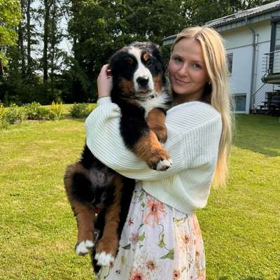 Hundetreffen-Welpentreffen in Kalk 😊