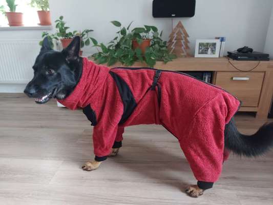 Trockenhandtuch/handschuh-Beitrag-Bild