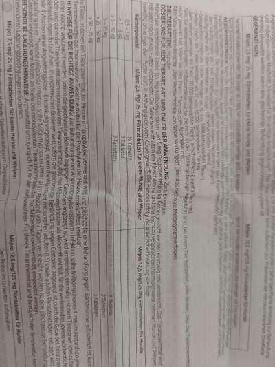 Wurmkur!-Beitrag-Bild