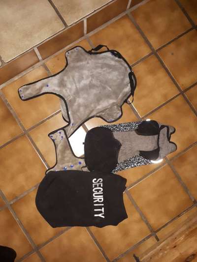 Hundemantel-Beitrag-Bild