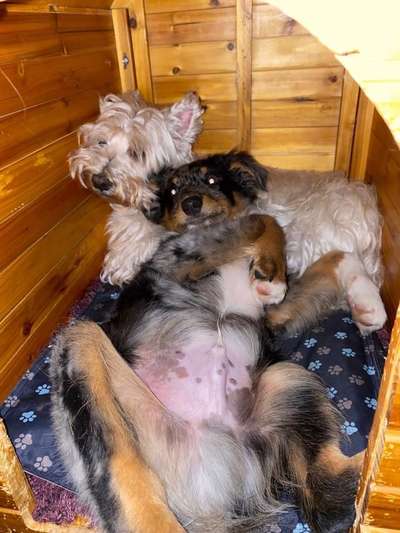 Fotochallenge liebespaare-Beitrag-Bild