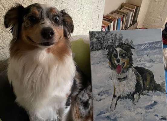 Zeige das lustigste Bild eures Hundis-Beitrag-Bild