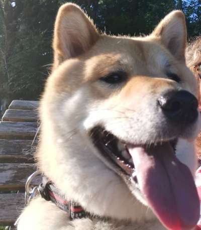 Fotochallange Nr. 57     PORTRÄT.   Beendet!!!!!!!!-Beitrag-Bild