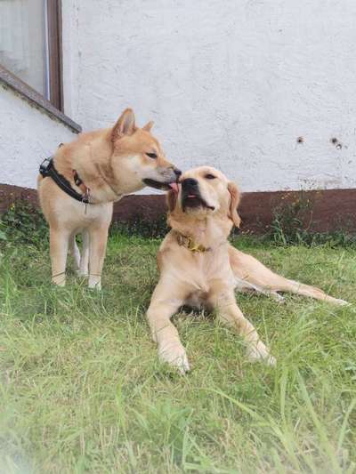 Fotochallenge Nr. 62 Romantische Momente-Beitrag-Bild