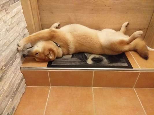 Die unbequemsten und lustigsten Schlafpositionen-Beitrag-Bild