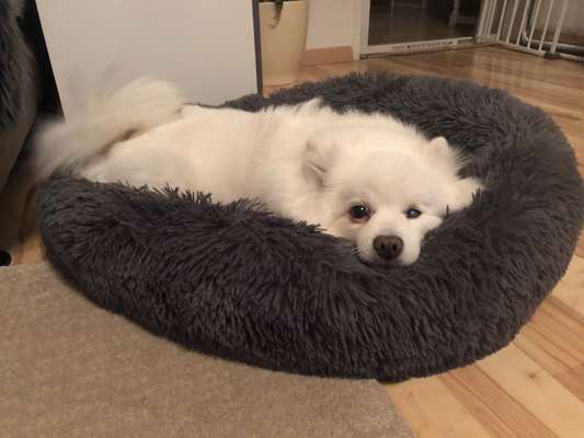 Foto Challange Nr.80-Beitrag-Bild