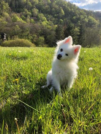 Fotowettbewerb Natur-Beitrag-Bild