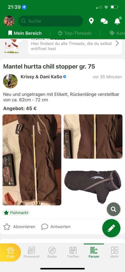 Hundemantel-Beitrag-Bild