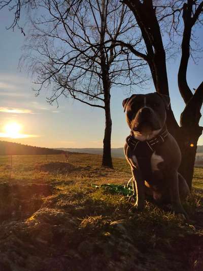 SonnenSTRAHLEN-Beitrag-Bild