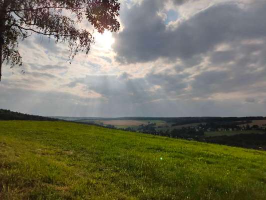 Die wunderschöne Welt mit Hund.-Beitrag-Bild