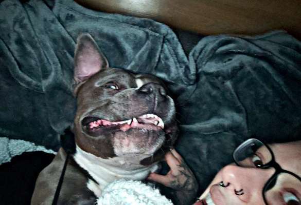 Freunde von 'Kampfhunden'-Beitrag-Bild