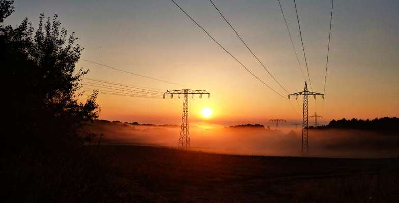 Die wunderschöne Welt mit Hund.-Beitrag-Bild