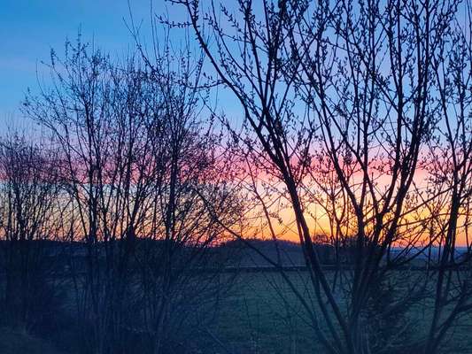 Die wunderschöne Welt mit Hund.-Beitrag-Bild